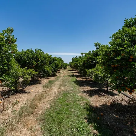 Casa D'nossa, Casa Tradicional E Moderna, Vista 360º, Piscina De Agua Salgada * لوز دي تافيرا