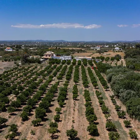Casa D'nossa, Casa Tradicional E Moderna, Vista 360º, Piscina De Agua Salgada بيت للعطل *