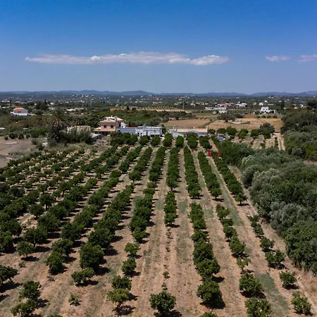 Casa D'nossa, Casa Tradicional E Moderna, Vista 360º, Piscina De Agua Salgada Holiday home *