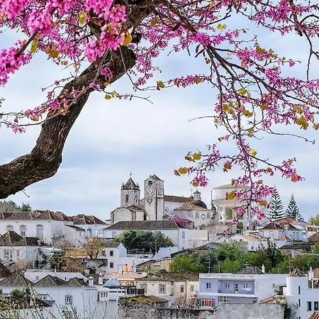 Σπίτι διακοπών Casa D'nossa, Casa Tradicional E Moderna, Vista 360º, Piscina De Agua Salgada