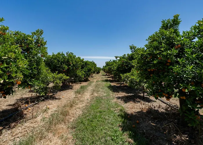Casa D'nossa, Casa Tradicional E Moderna, Vista 360º, Piscina De Agua Salgada * Luz de Tavira