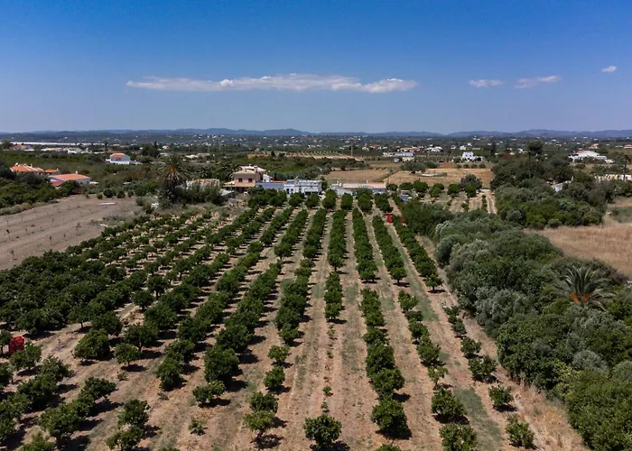 Casa D'nossa, Casa Tradicional E Moderna, Vista 360º, Piscina De Agua Salgada Tatil Evi *