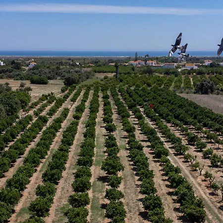 Casa D'nossa, Casa Tradicional E Moderna, Vista 360º, Piscina De Agua Salgada *